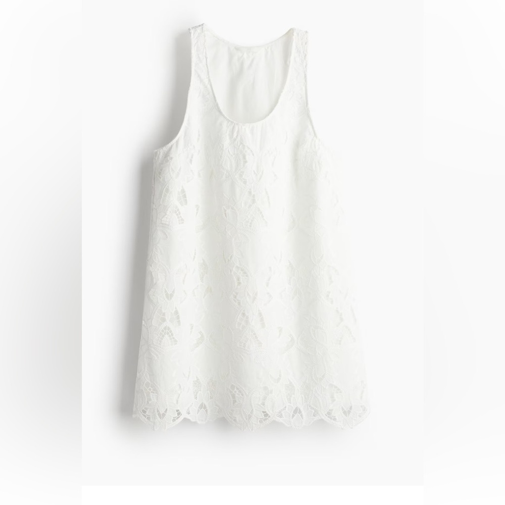 H&M Eyelet Embroidery Detail Mini Dress